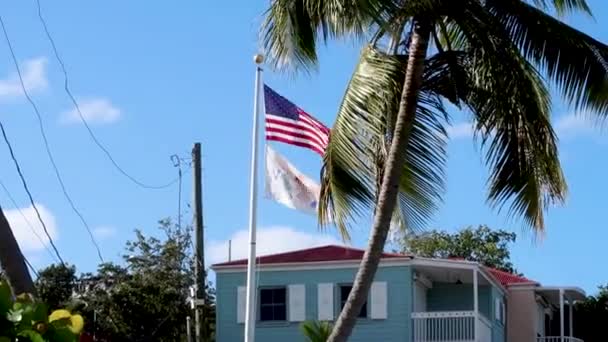 バージン諸島アメリカ合衆国の国旗がヤシの木によって風になびく — ストック動画