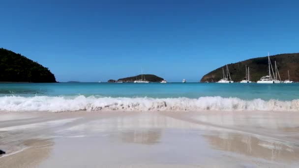 Mayo Bay John Îles Vierges Américaines Caribbean Beach — Video