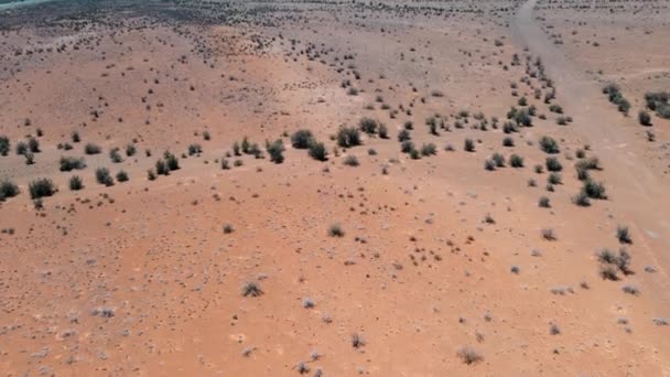 Karoo Halbwüste Südafrika Drohnen Schwenk Vom Boden Bis Den Hörnern — Stockvideo