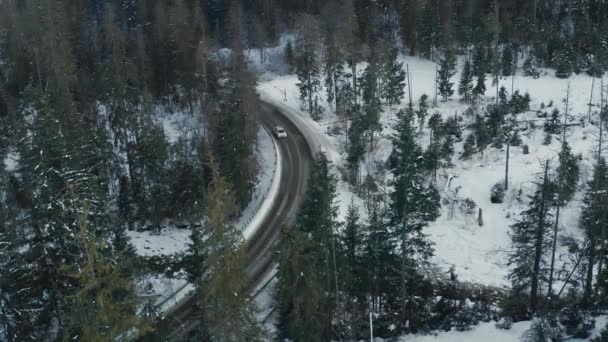 冬の森の木々の間のアスファルト道路での車の運転の空中ビュー 空中ドローンショット — ストック動画