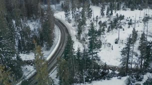 昼間の冬の森の中の道路の空中ビュー 空中ドローンショット — ストック動画