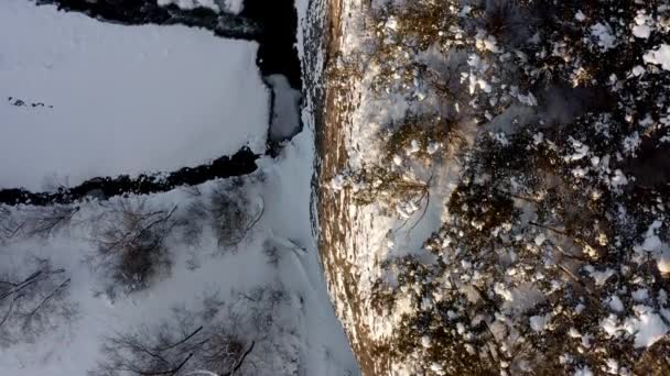 波兰Bialka Tatrzanska附近的冬季 树木生长在山崖顶上 山下有雪流 — 图库视频影像