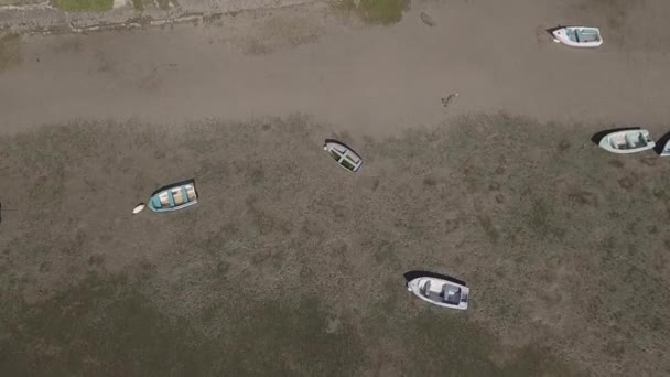 Staré Dřevěné Dories Uvízl Bahnité Pláži Při Odlivu Knysna Antény — Stock video