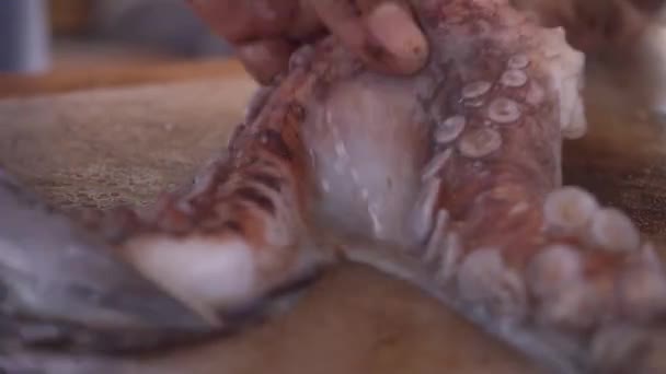 Vaření Krájení Chobotnice Detail Záběru — Stock video