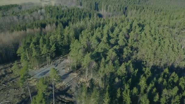 Areal Shot Swedish Forest Tilts Treetop End — Stock Video