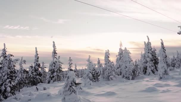 Increíble Paisaje Nieve Con Árboles Nevados Durante Atardecer Épico Horizonte — Vídeos de Stock