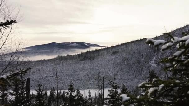 Statische Weitwinkelaufnahme Einer Verschneiten Berglandschaft Mit Vielen Nadelbäumen Und Nebel — Stockvideo
