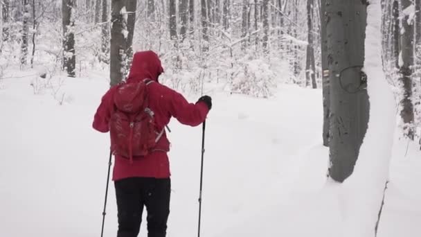 Zeitlupenaufnahme Eines Mannes Mit Wanderstöcken Beim Bergsteigen Durch Tiefen Schnee — Stockvideo