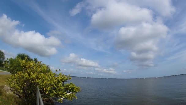 Sand Point Park Podél Indické Řeky Titusville Florida Pozdním Dopoledních — Stock video