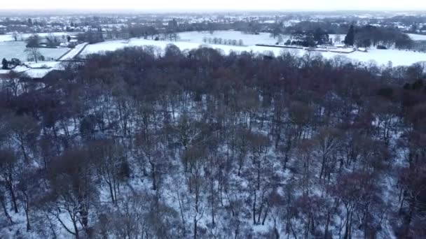 冰雪覆盖的英国冬季林地景观落叶森林空中景观 — 图库视频影像