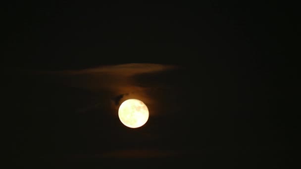 Timelapse Uma Lua Brilhante Movimento Durante Noite Sem Nuvens — Vídeo de Stock