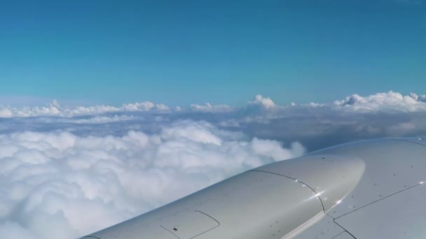 Uçak Yolculuğu Bulutların Arasında Uçmak Uçak Penceresinden Bakmak — Stok video