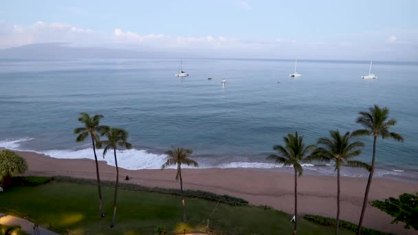 Ανατολή Ηλίου Στη Χαβάη Φοίνικες Παραλία Και Βάρκες — Αρχείο Βίντεο