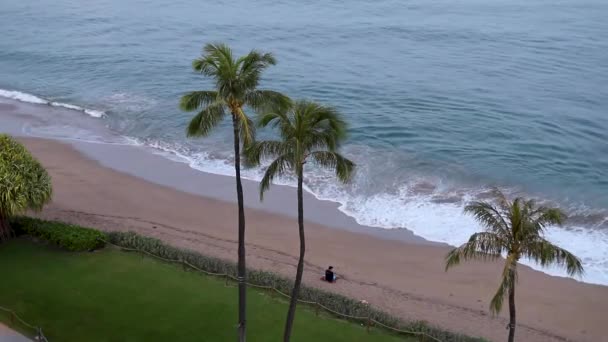 Zonsopgang Tropisch Strand Met Golven Palmbomen Hawaï — Stockvideo