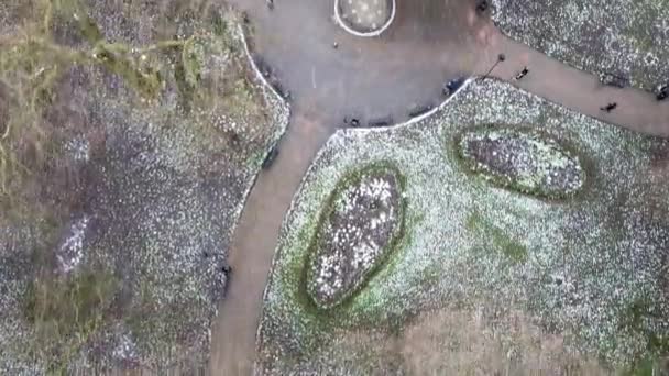 Schnee Fällt Auf Dem Russel Square Park Drohnenschuss Von Oben — Stockvideo
