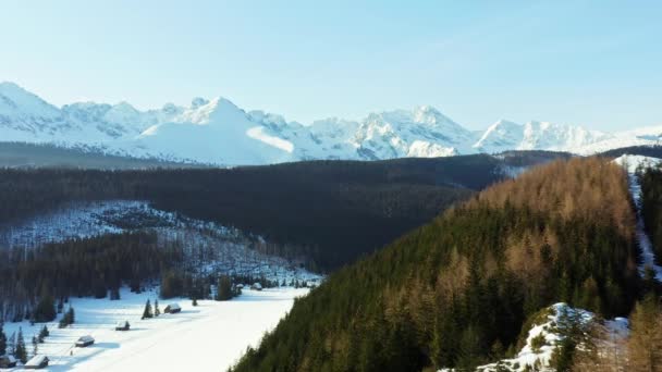Polonya Ile Slovakya Arasındaki Sınırda Tatry Karlı Dağ Sırası Havadan — Stok video