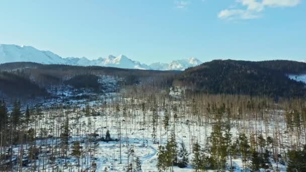 Polonya Ile Slovakya Arasındaki Sınırda Tatry Karlı Dağ Sırası Yanlamasına — Stok video