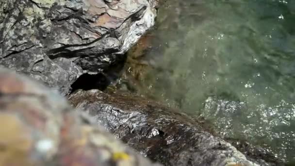 Movimiento Lento Agua Que Cae Borde Del Banco — Vídeo de stock