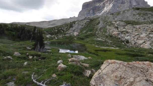Beautiful Mountain Shot Montana Mountain Called Chief — Stock Video