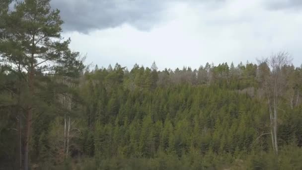 Drone Wznoszą Się Lasu Odsłaniając Malowniczy Widok Jezioro Przyrodę — Wideo stockowe