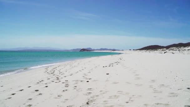 Pusta Plaża Białym Piaskiem Wzdłuż Pięknego Ciemnego Oceanu Słoneczny Dzień — Wideo stockowe