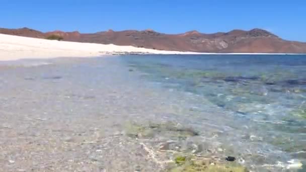 Agua Cristalina Del Océano Sube Largo Una Playa Arena Blanca — Vídeos de Stock