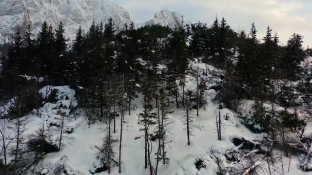 Snow Headed Mountain Scenery Europe Winter Day 급강하 — 비디오