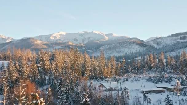 Snowys Woods Sezonie Zimowym Koscielisko Polsce Wznoszące Się Powietrze — Wideo stockowe