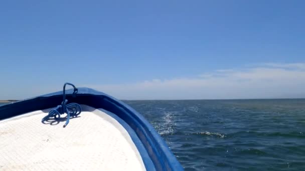 Mała Łódź Motorowa Wypływa Wycieczkę Obserwacją Wielorybów Magdelena Bay Meksyk — Wideo stockowe