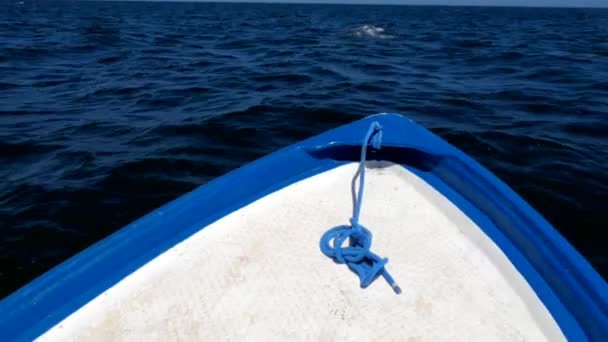 Una Ballena Gris Aparece Justo Lado Barco Observación Ballenas Turísticas — Vídeo de stock