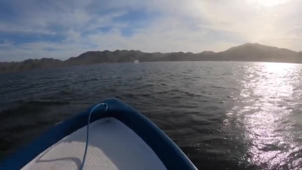 Due Balene Grigie Liberano Loro Blowhole Davanti Una Piccola Barca — Video Stock