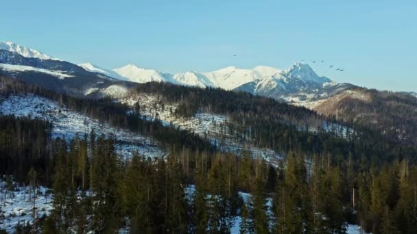 Majestátní Bílé Vrcholy Pohoří Tatra Polsku Věčně Zeleným Lesem — Stock video