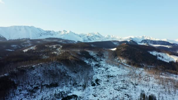 Πρωί Στα Βουνά Tatra Λευκές Κορυφές Και Δασικές Πλαγιές Εναέρια — Αρχείο Βίντεο