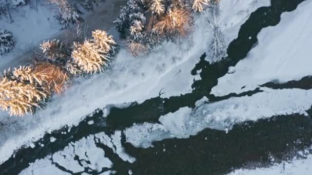 Avance Aéreo Arriba Hacia Abajo Sobre Paisaje Congelado Koscielisko Polonia — Vídeo de stock
