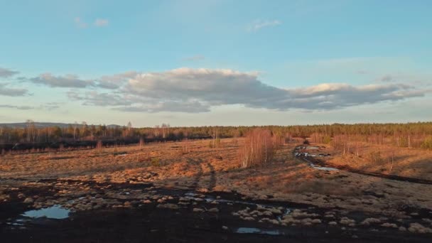 Turfa Pântano Polónia Anteprojecto Aéreo — Vídeo de Stock