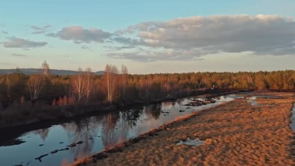 Vista Aérea Sobre Zonas Pantanosas Turberas Polonia — Vídeo de stock