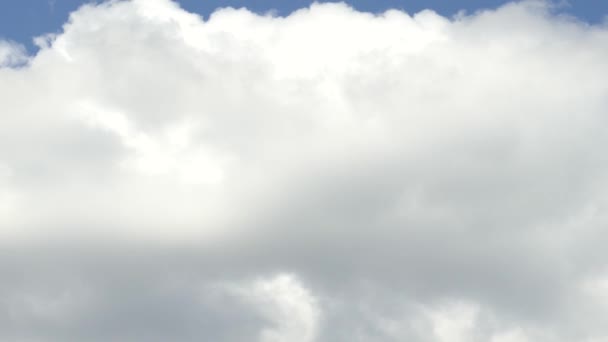 Wolken Zeitraffer Cumulus Bewegt Sich Schnell — Stockvideo