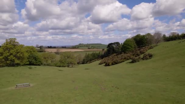 Gorse Bushes Valley Trees Aerial Landscape Aerial Rural Spring Season — Vídeos de Stock