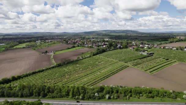 North Evesham Huertos Primavera Paisaje Aéreo Worcestershire — Vídeos de Stock