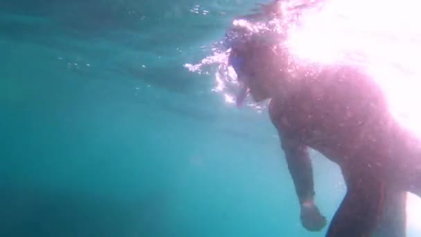Мужчина Ныряет Трубкой Рядом Огромной Китовой Акулой Мутной Воде Берегов — стоковое видео
