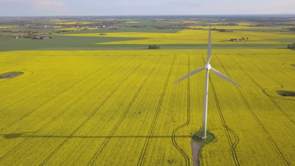 Grandes Éoliennes Sur Champ Jaune — Video