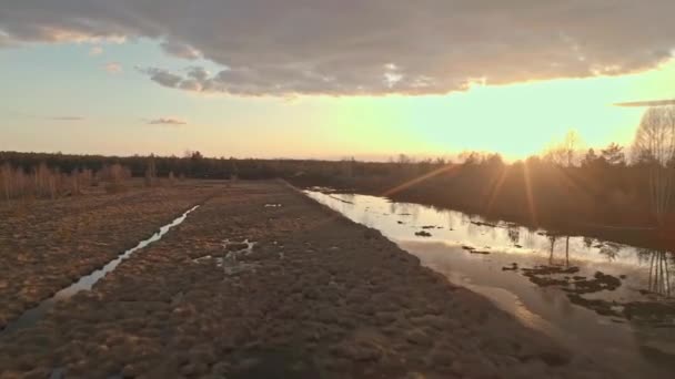 Panorama Vast Marshland Surrounded Woodland Sundown Wide Shot — Stock Video
