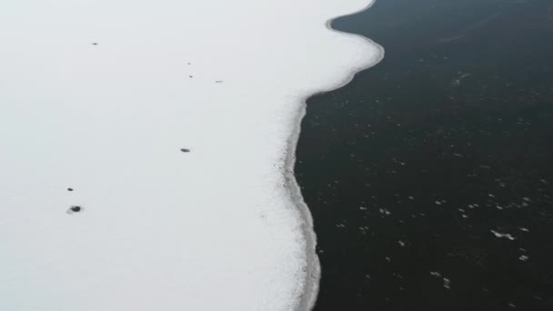 Isdækket Landskab Fugle Island Vinteren Luftfoto – Stock-video