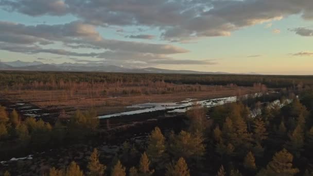 Bird Eye View Van Een Groot Moeras Bij Zonsondergang Polen — Stockvideo