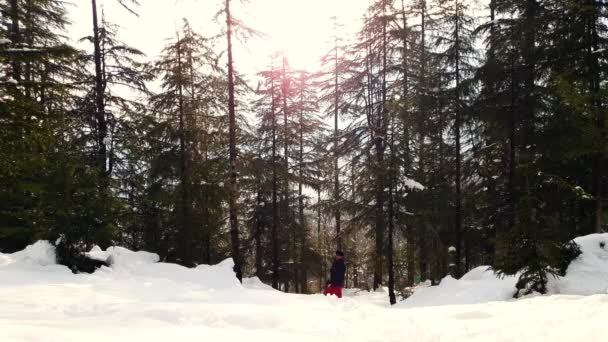 雪景中的人与山谷自然中的苗圃景观化雪水转化为灌溉水 — 图库视频影像