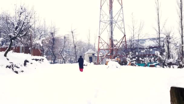 Ένας Άνθρωπος Ταξιδεύει Στο Τοπίο Χιόνι Θέσεις Όμορφα Για Πάρετε — Αρχείο Βίντεο