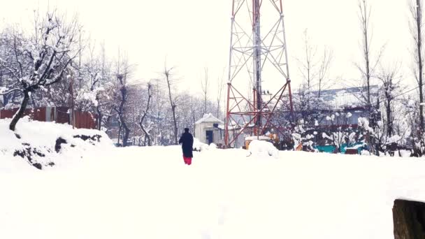 Homem Viaja Lugares Paisagem Neve Lindamente Para Obter Ideias Sobre — Vídeo de Stock