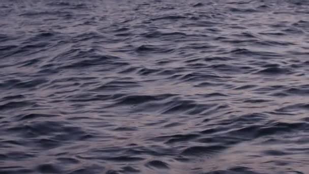 Langzame Beweging Van Het Meerwater — Stockvideo