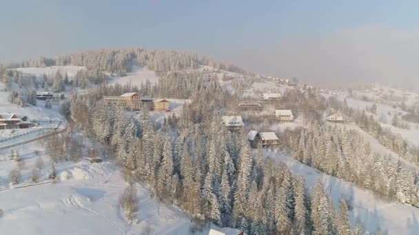 Budynki Domów Sosny Pokryte Śniegiem Zakopanem Polska Południowa Strzał Statyczny — Wideo stockowe