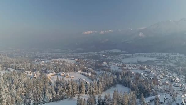 Panorama Forest Town Zakopane Capped Snow Poland Anténa — Stock video